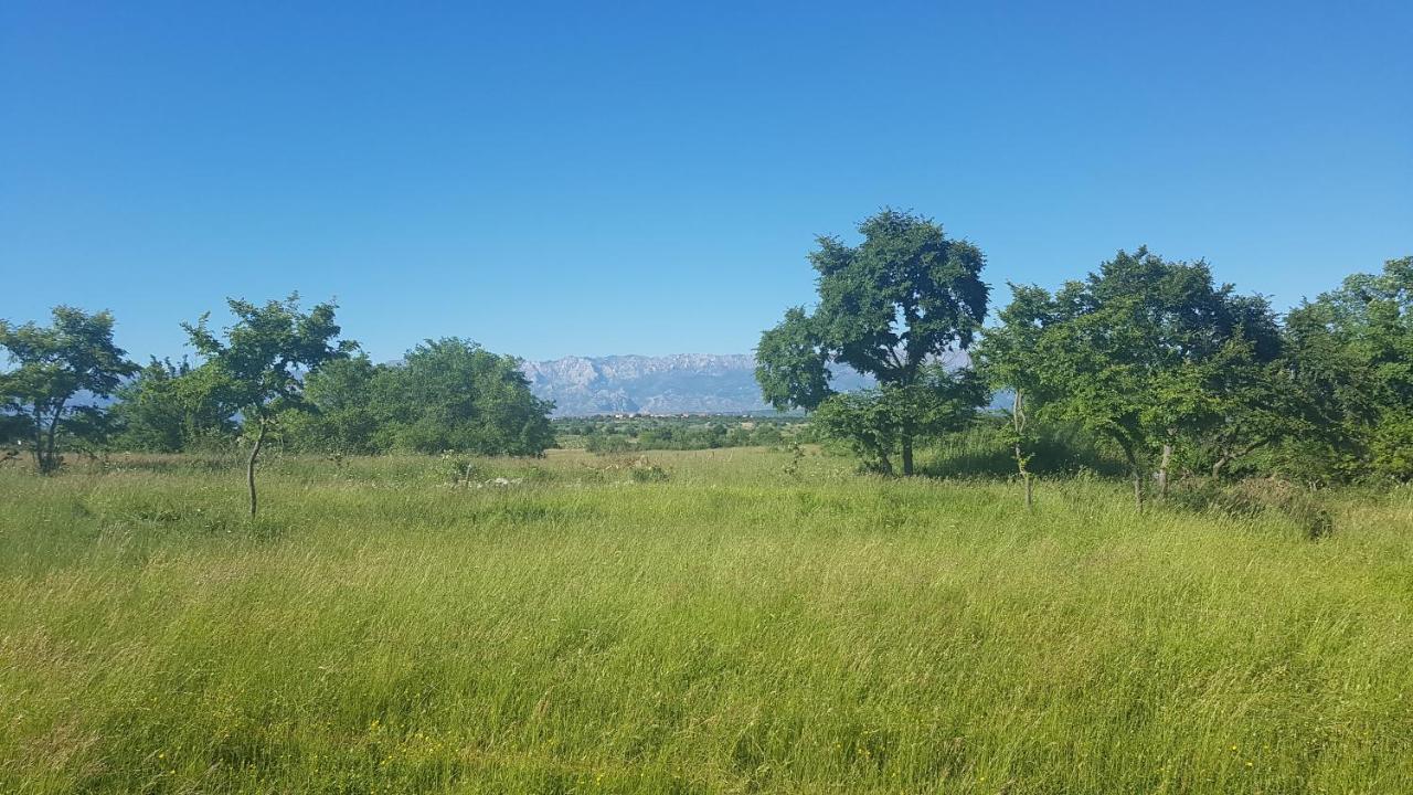 Savrsen Odmor U Villa Ivona Задар Экстерьер фото